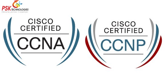 ccnA